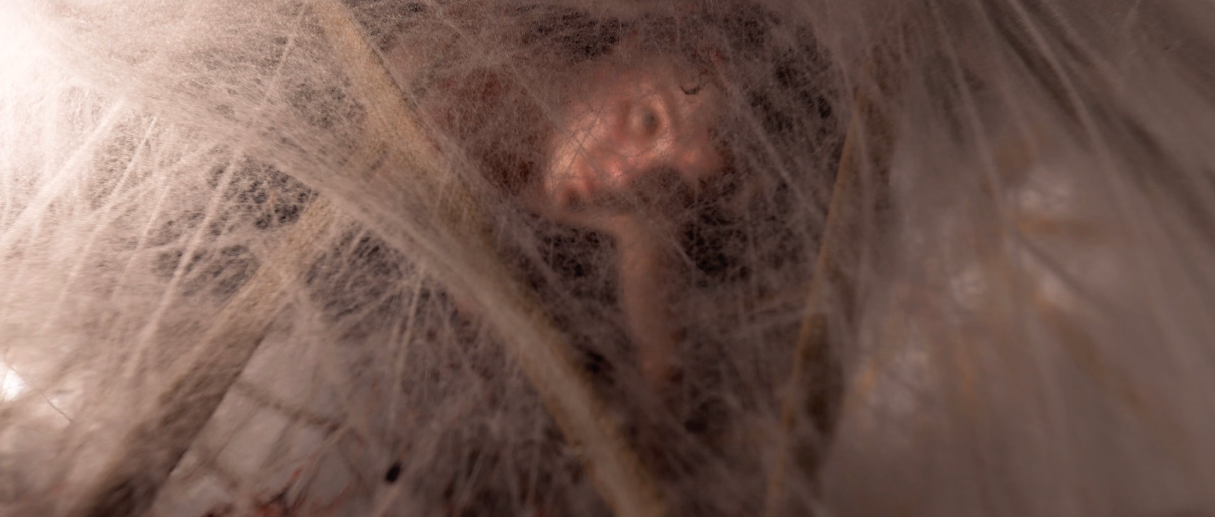 COCOON — still 10 of 21