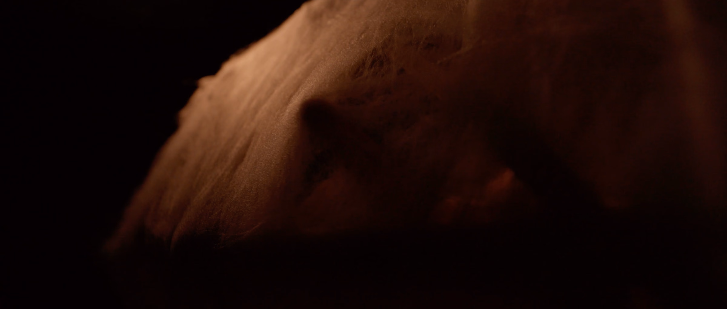 COCOON — still 12 of 21
