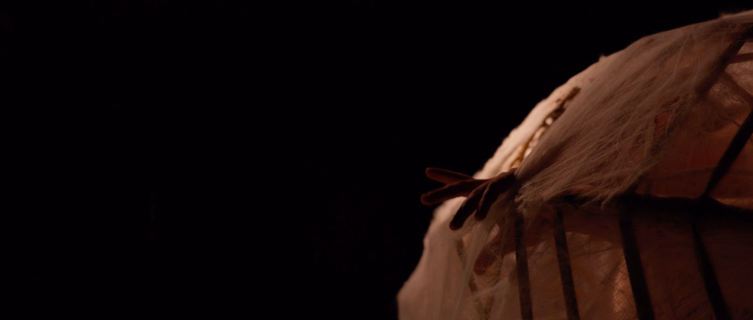 COCOON — still 15 of 21