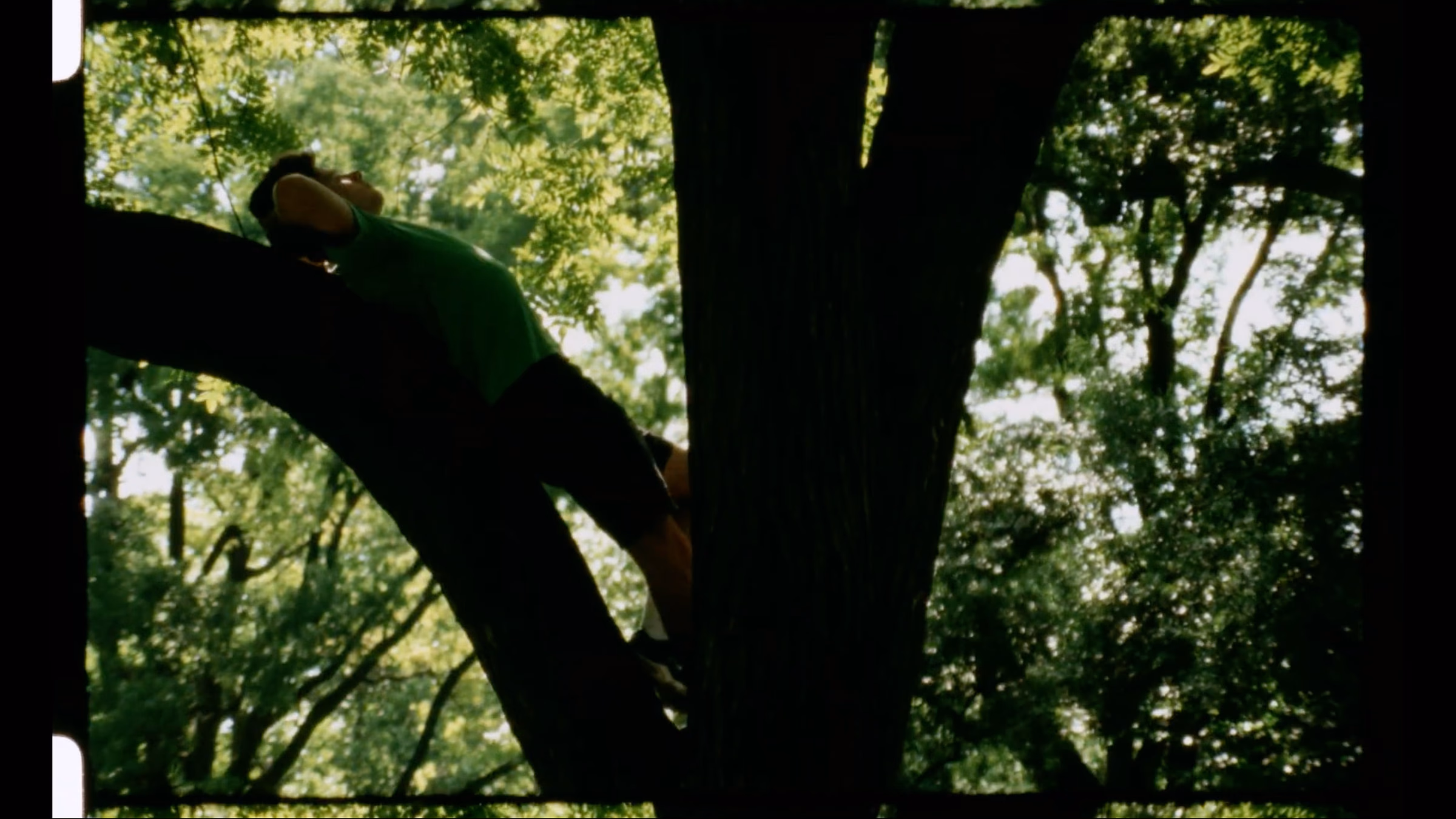 In Everything Green — still 16 of 31